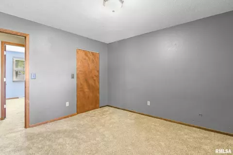 209 Fleck St, Dawson, IL 62520 photo 26
