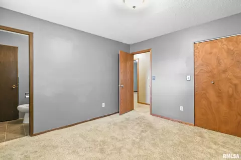 209 Fleck St, Dawson, IL 62520 photo 22