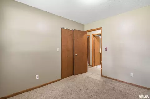 209 Fleck St, Dawson, IL 62520 photo 32