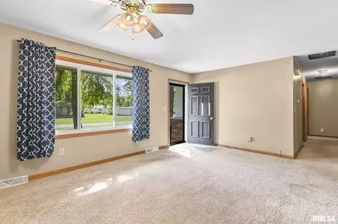 209 Fleck St, Dawson, IL 62520 photo 12