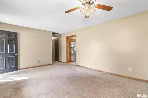 209 Fleck St, Dawson, IL 62520 photo 13