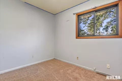 1530 E Walnut St, Chatham, IL 62629 photo 22