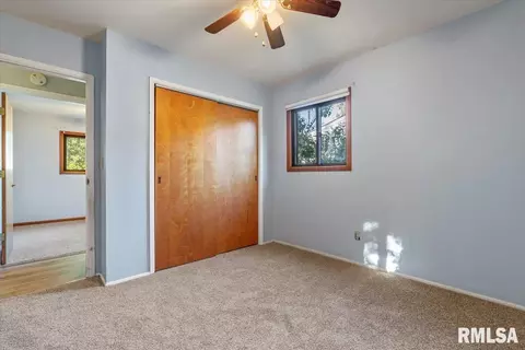 1530 E Walnut St, Chatham, IL 62629 photo 19