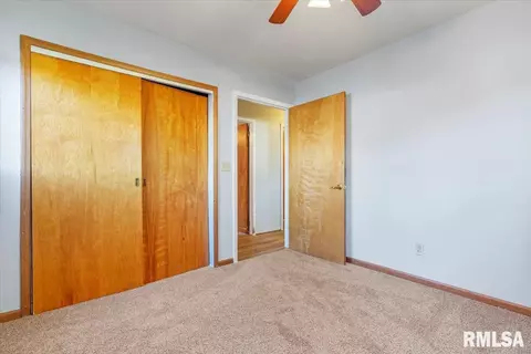 1530 E Walnut St, Chatham, IL 62629 photo 25