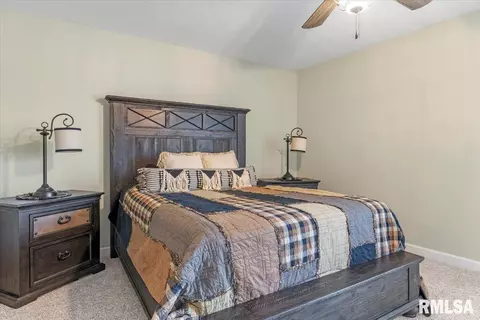 2705 Buckskin Trl, Springfield, IL 62711 photo 17