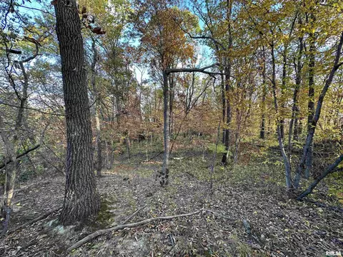 286 170th St, Avon, IL 61415 photo 23