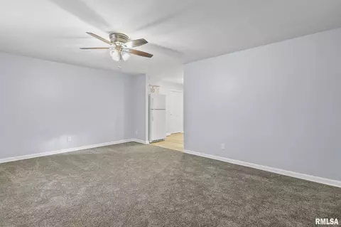 20 Mesa Rd, Springfield, IL 62702 photo 23
