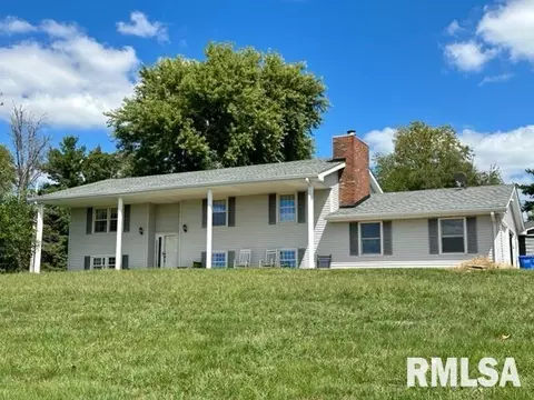 26044 Hedgerow School Ave, Greenview, IL 62642