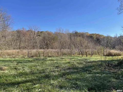 12251 E Kerton Rd, Astoria, IL 61501
