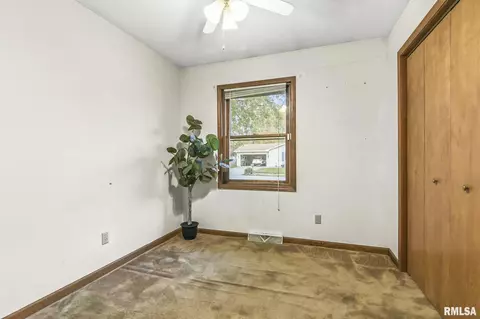 5223 Cantrell Ct, Springfield, IL 62703 photo 19