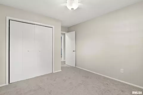 18 Babiak Ln, Springfield, IL 62702 photo 20
