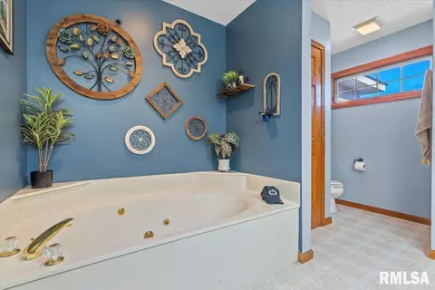 321 Keystone Dr, Chatham, IL 62629 photo 35