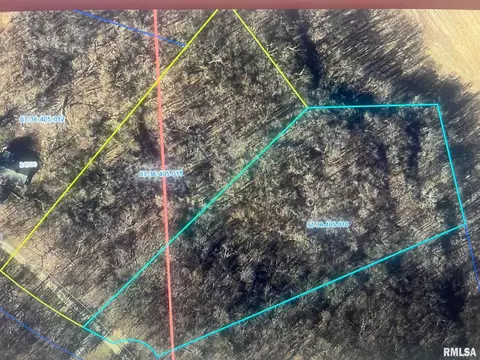 Lot 10 Twin Oaks Avenue, Greenview, IL 62642