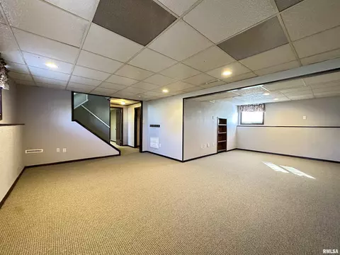 69 Bricker Cir, Avon, IL 61415 photo 46