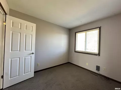 69 Bricker Cir, Avon, IL 61415 photo 43