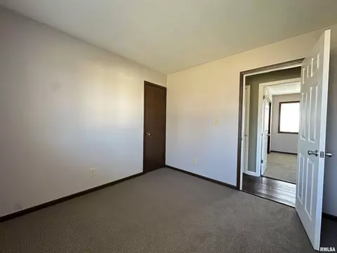 69 Bricker Cir, Avon, IL 61415 photo 41