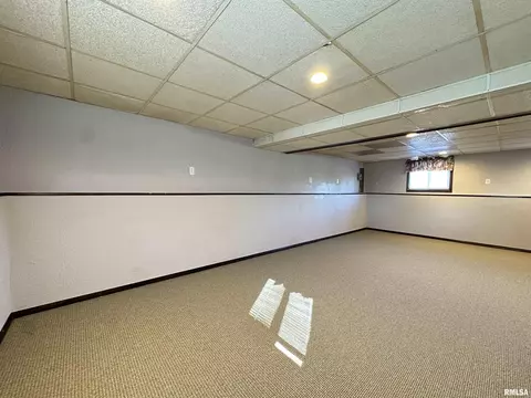69 Bricker Cir, Avon, IL 61415 photo 49