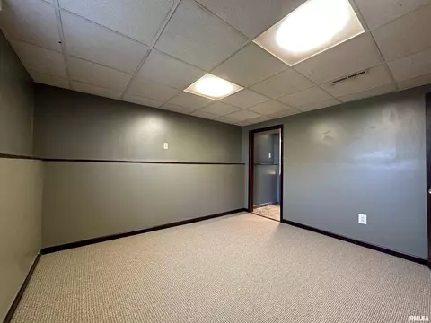 69 Bricker Cir, Avon, IL 61415 photo 52
