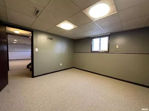 69 Bricker Cir, Avon, IL 61415 photo 54