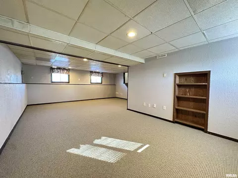 69 Bricker Cir, Avon, IL 61415 photo 48