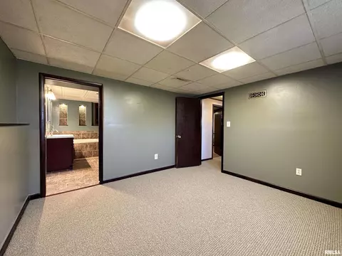 69 Bricker Cir, Avon, IL 61415 photo 53