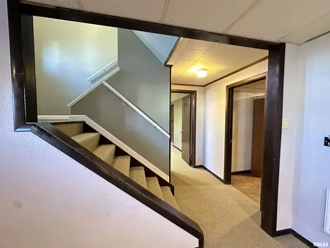 69 Bricker Cir, Avon, IL 61415 photo 50