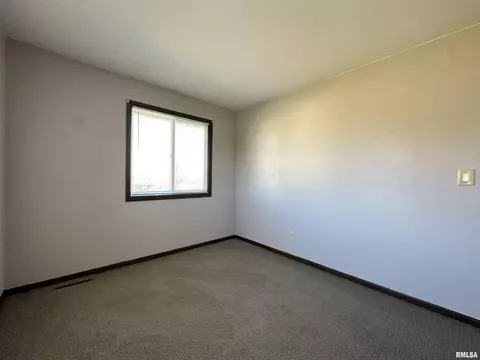 69 Bricker Cir, Avon, IL 61415 photo 39