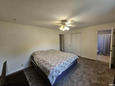 511 Rainbow Dr, Athens, IL 62613 photo 27