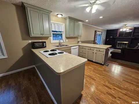511 Rainbow Dr, Athens, IL 62613 photo 9