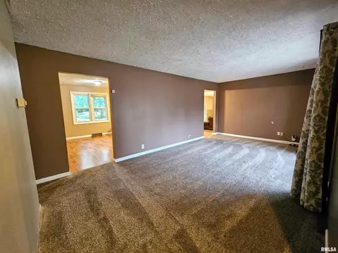 511 Rainbow Dr, Athens, IL 62613 photo 3
