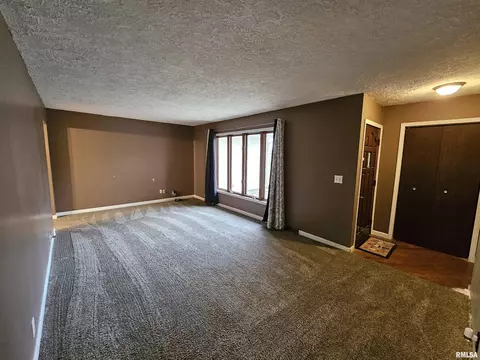 511 Rainbow Dr, Athens, IL 62613 photo 4