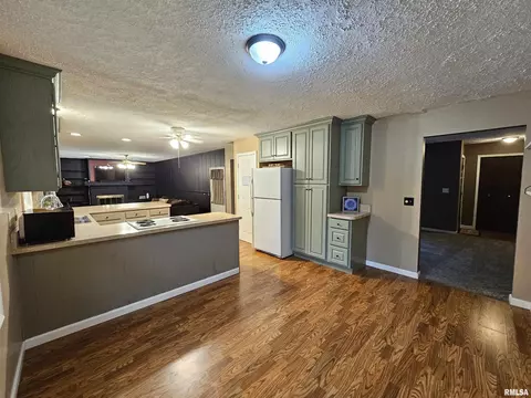 511 Rainbow Dr, Athens, IL 62613 photo 10