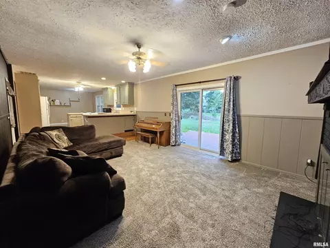 511 Rainbow Dr, Athens, IL 62613 photo 18