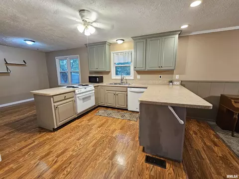 511 Rainbow Dr, Athens, IL 62613 photo 14
