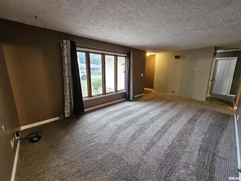 511 Rainbow Dr, Athens, IL 62613 photo 5