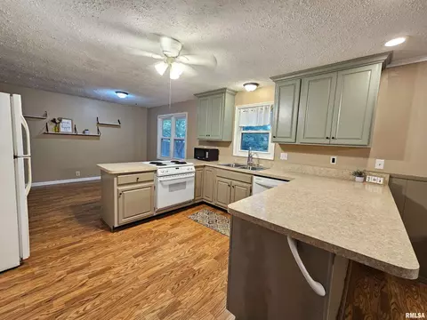 511 Rainbow Dr, Athens, IL 62613 photo 13