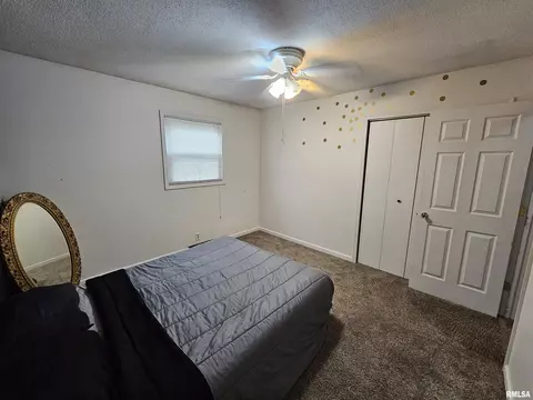511 Rainbow Dr, Athens, IL 62613 photo 26