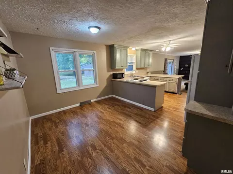 511 Rainbow Dr, Athens, IL 62613 photo 7