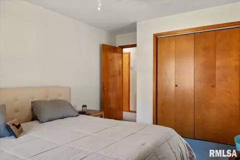 187 Circle Dr, Springfield, IL 62703 photo 18