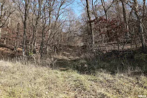 13 56 Acres 205th St, Kinderhook, IL 62345