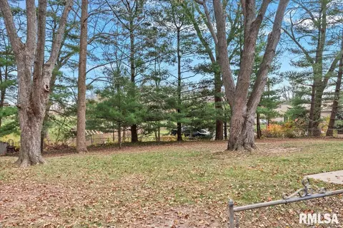 20 Cheyenne Dr, Springfield, IL 62711 photo 33