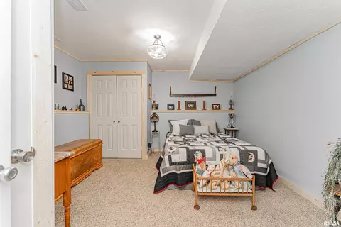 607 County Rd, Mclean, IL 61754 photo 27