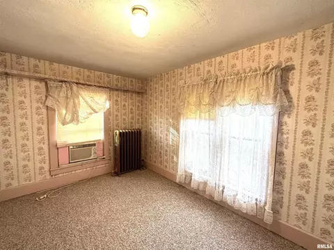 111 NW 2nd St, Galva, IL 61434 photo 21