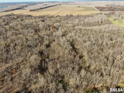 16 Th St, Keithsburg, IL 61442 photo 8