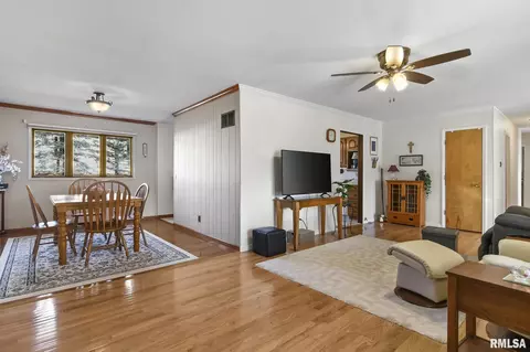 601 E Menard St, Riverton, IL 62561 photo 10