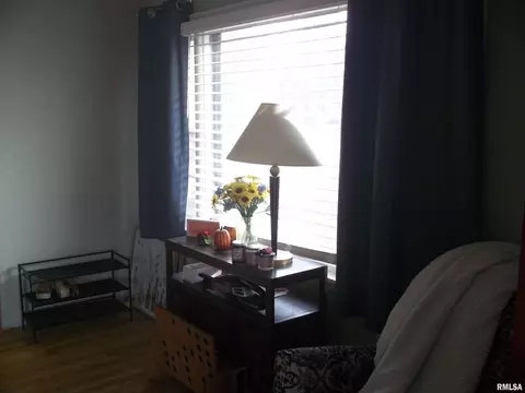 1233 W Iles Ave, Springfield, IL 62704 photo 6