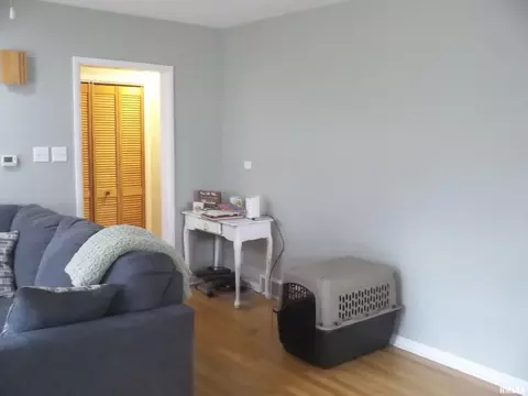 1233 W Iles Ave, Springfield, IL 62704 photo 5