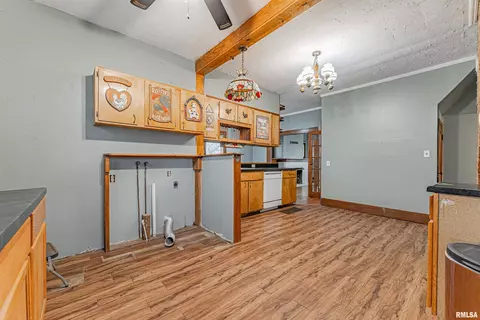 1010 Sheldon St, Cornland, IL 62519 photo 3