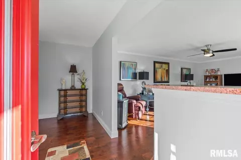 Living - 237 S State St, Greenview, IL 62642 photo 6 of 6