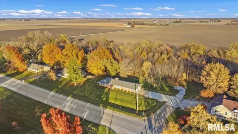 View/Area - 237 S State St, Greenview, IL 62642 photo 1 of 6